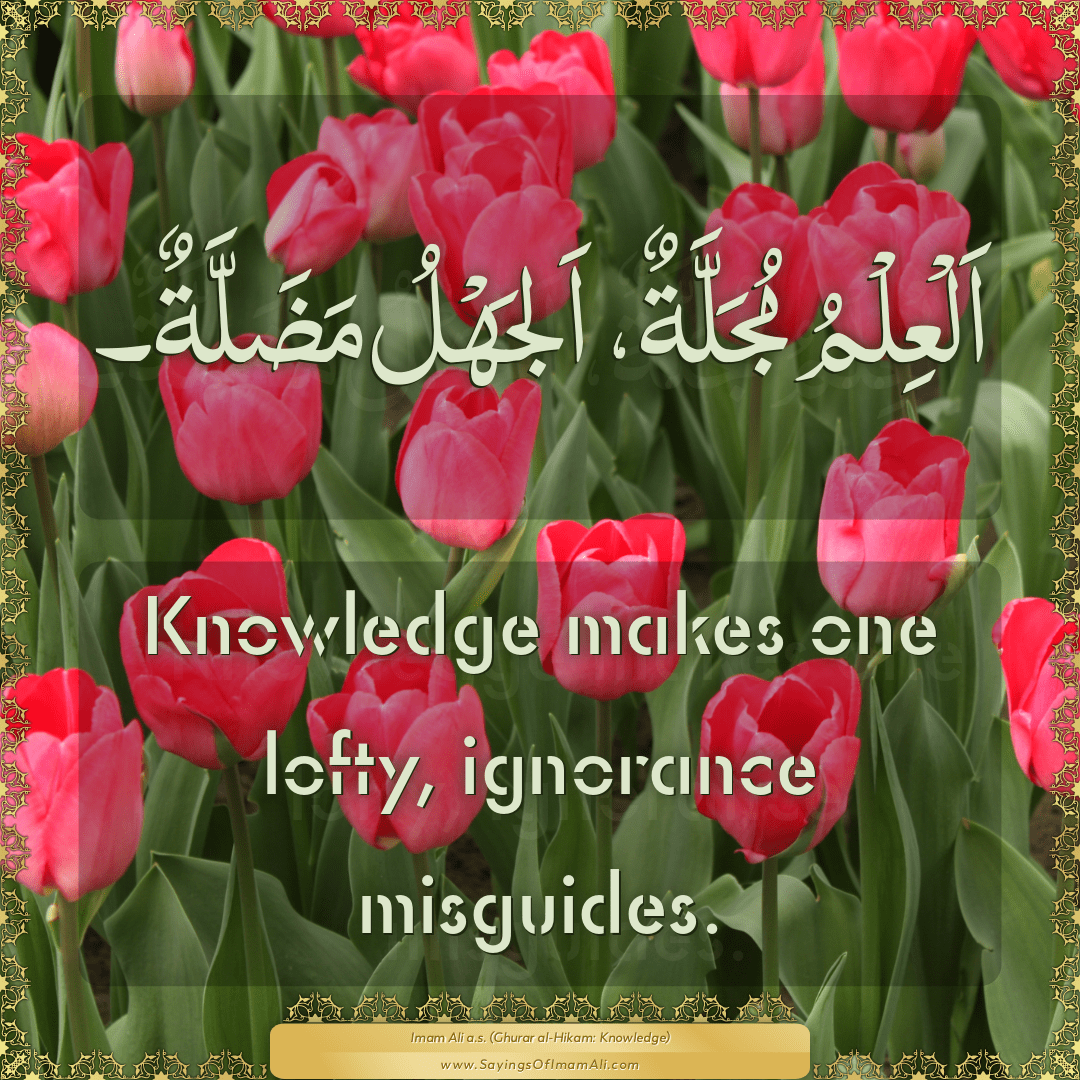 Knowledge makes one lofty, ignorance misguides.